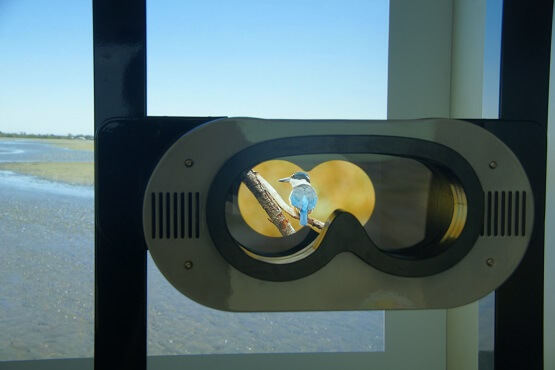 interactive binoculars